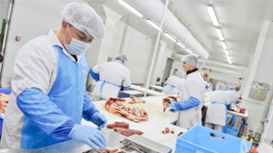 Disposable Clothing Meat Cutting - Vipavlenkoff_Shutterstock