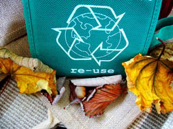 Reusable grocery bag