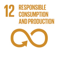 UN SDG 12 responsible consumption and production